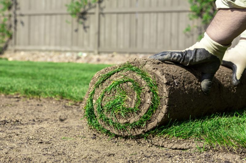 Yard Sod Replacement