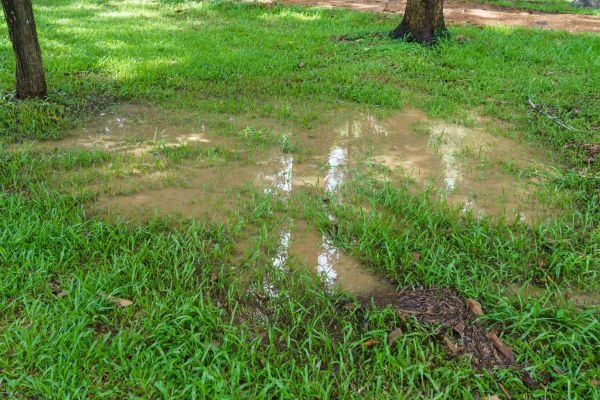 Storm Water Drainage Service in Cedar Park