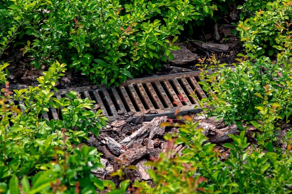 Cost of Underground Drainage Service in Cedar Park