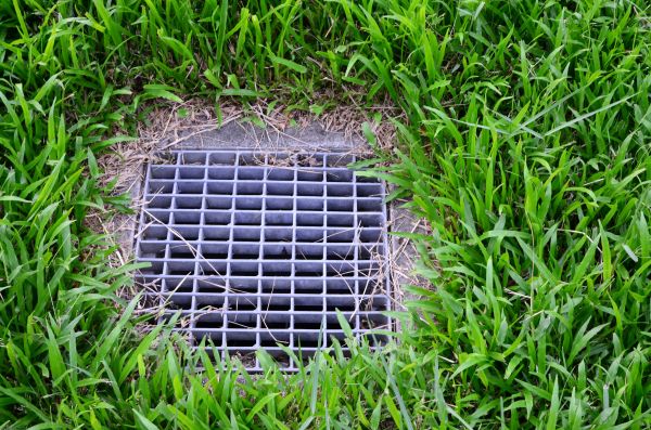 Yard Water Drainage in Cedar Park