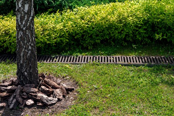 Yard Water Redirection in Cedar Park