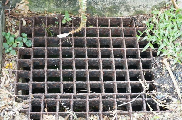 Yard Drain Cleaning in Cedar Park