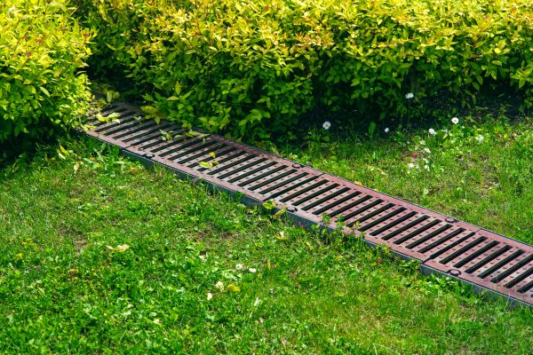 Yard Drainage Installation in Cedar Park