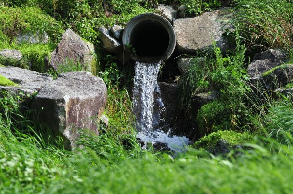 Water Redirection in Cedar Park