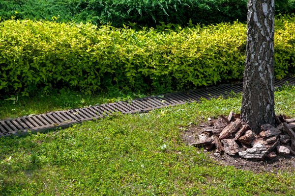 Cost of Residential Landscape Drainage in Cedar Park