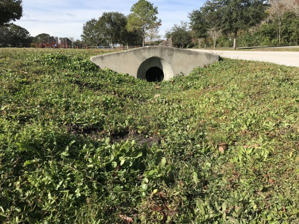 Swale Drainage Service in Cedar Park